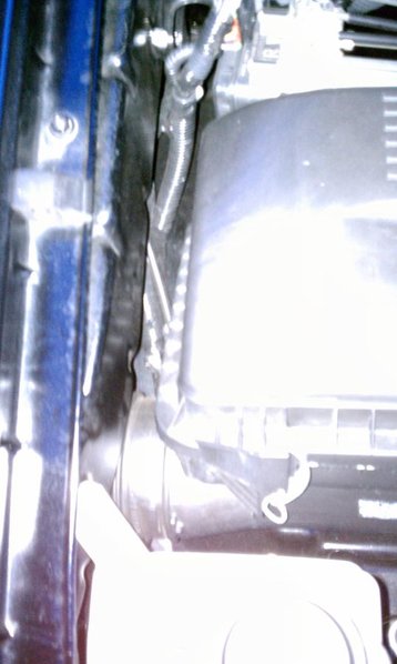 IMAG0361.jpg