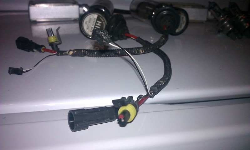 IMAG0361_9c14b98056e79da66ded68052125786ca545fffc.jpg