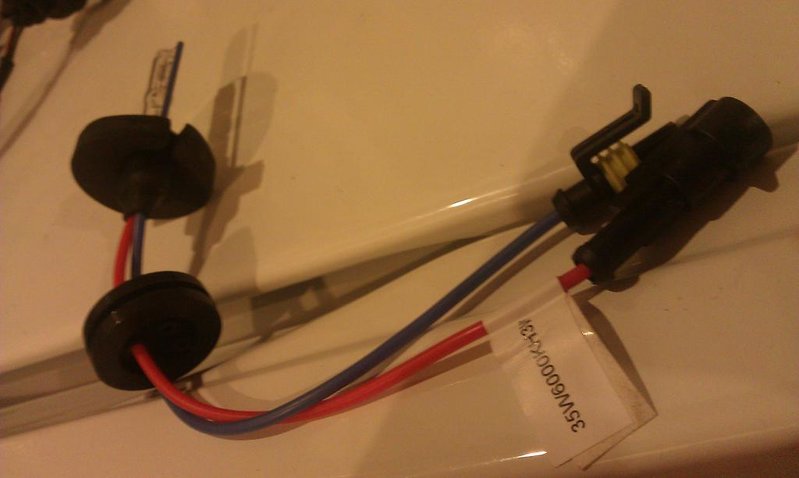 IMAG0368.jpg
