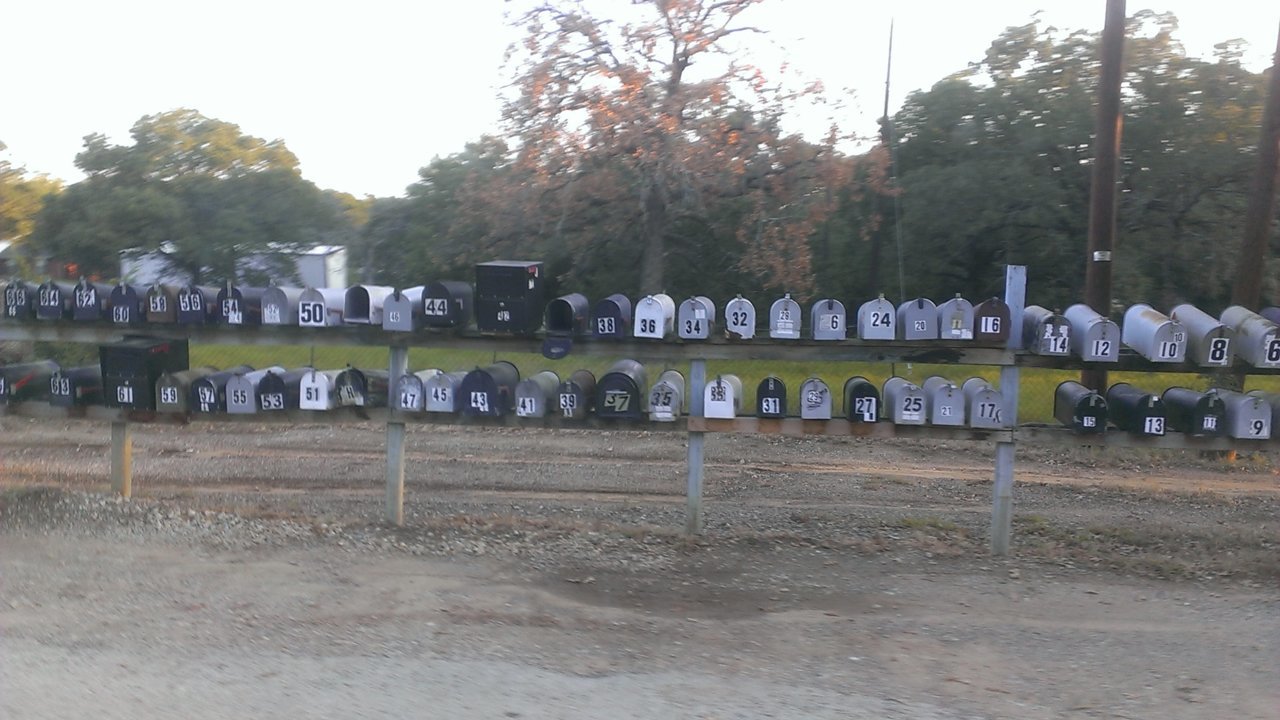 IMAG0380.jpg