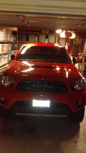 IMAG0381.jpg