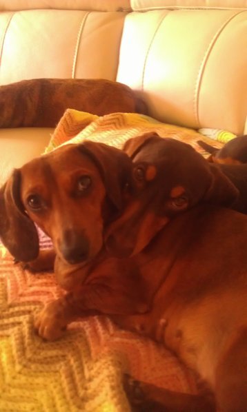 IMAG0383.jpg