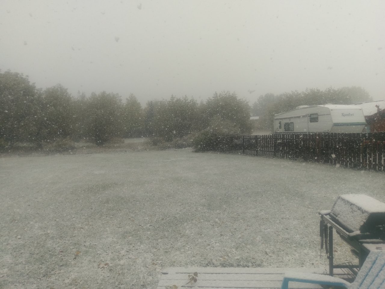 IMAG0392.jpg
