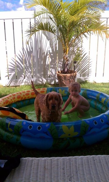 IMAG0397.jpg
