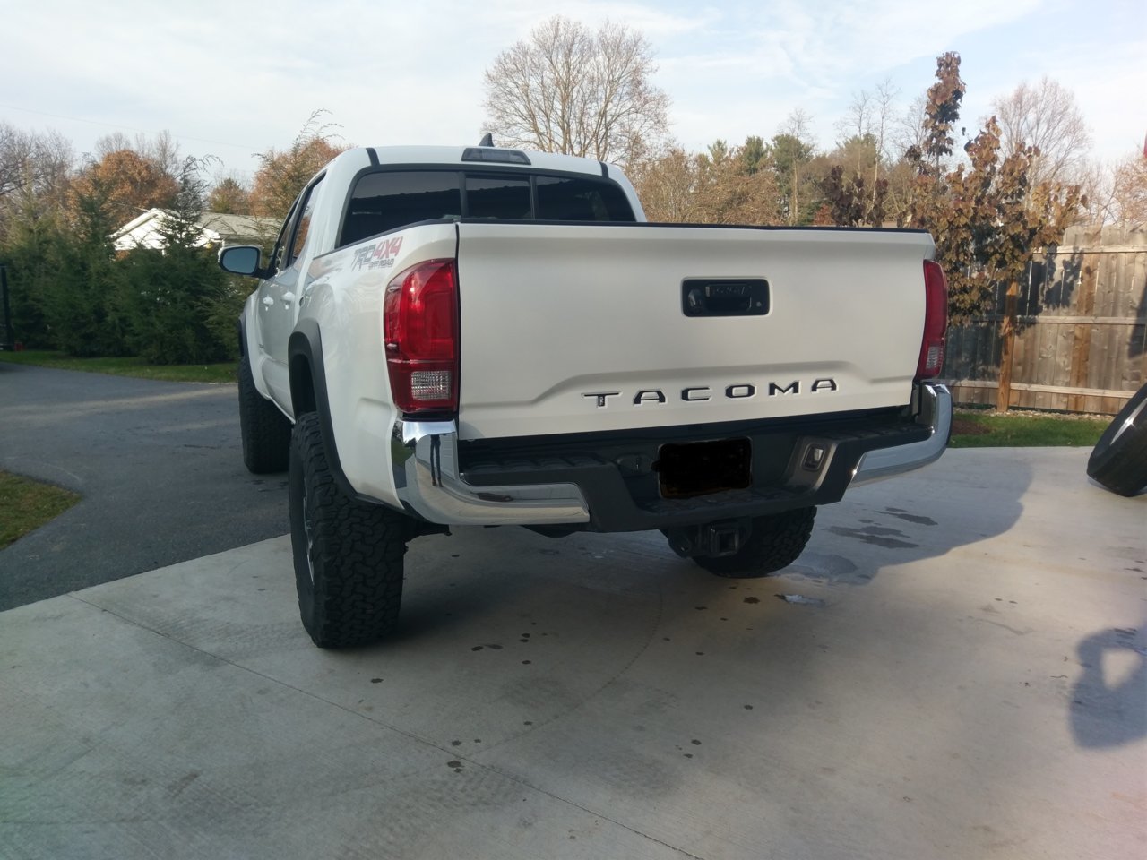 IMAG0405_noplate.jpg