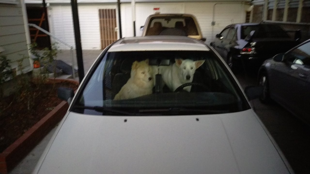 IMAG0409.jpg