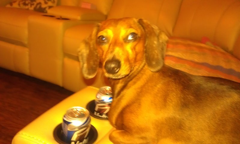 IMAG0416.jpg