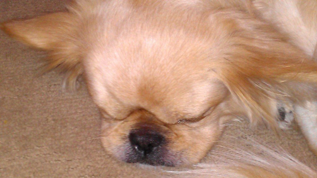 IMAG0417_15da67b24f08e6f8d01c44f742a6154abc25f544.jpg