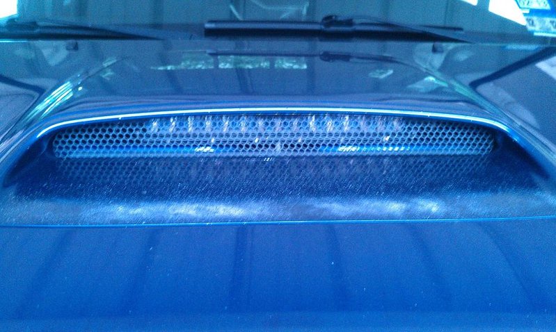 IMAG0427.jpg