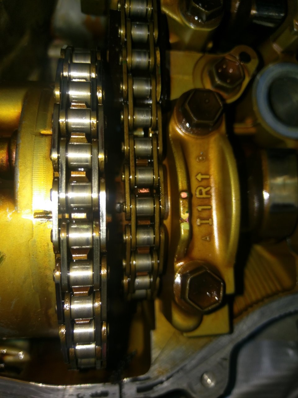 IMAG0427.jpg