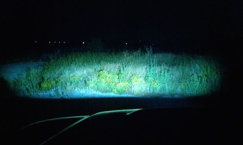 IMAG0434-led.jpg