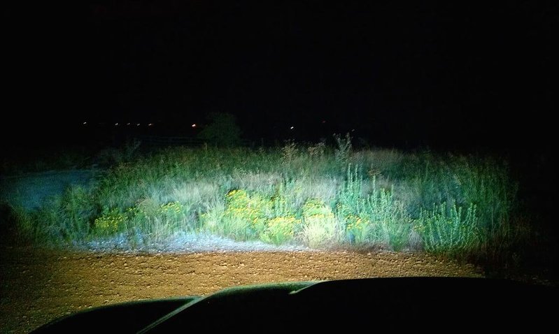 IMAG0435-led+fog.jpg