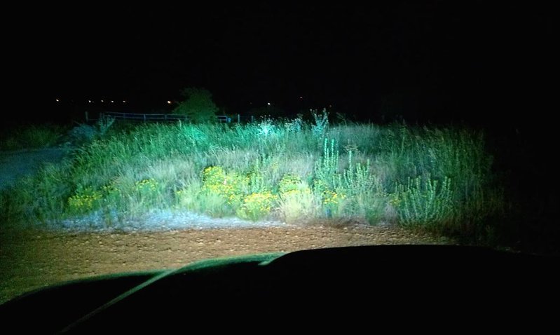 IMAG0437-high+led+fog.jpg