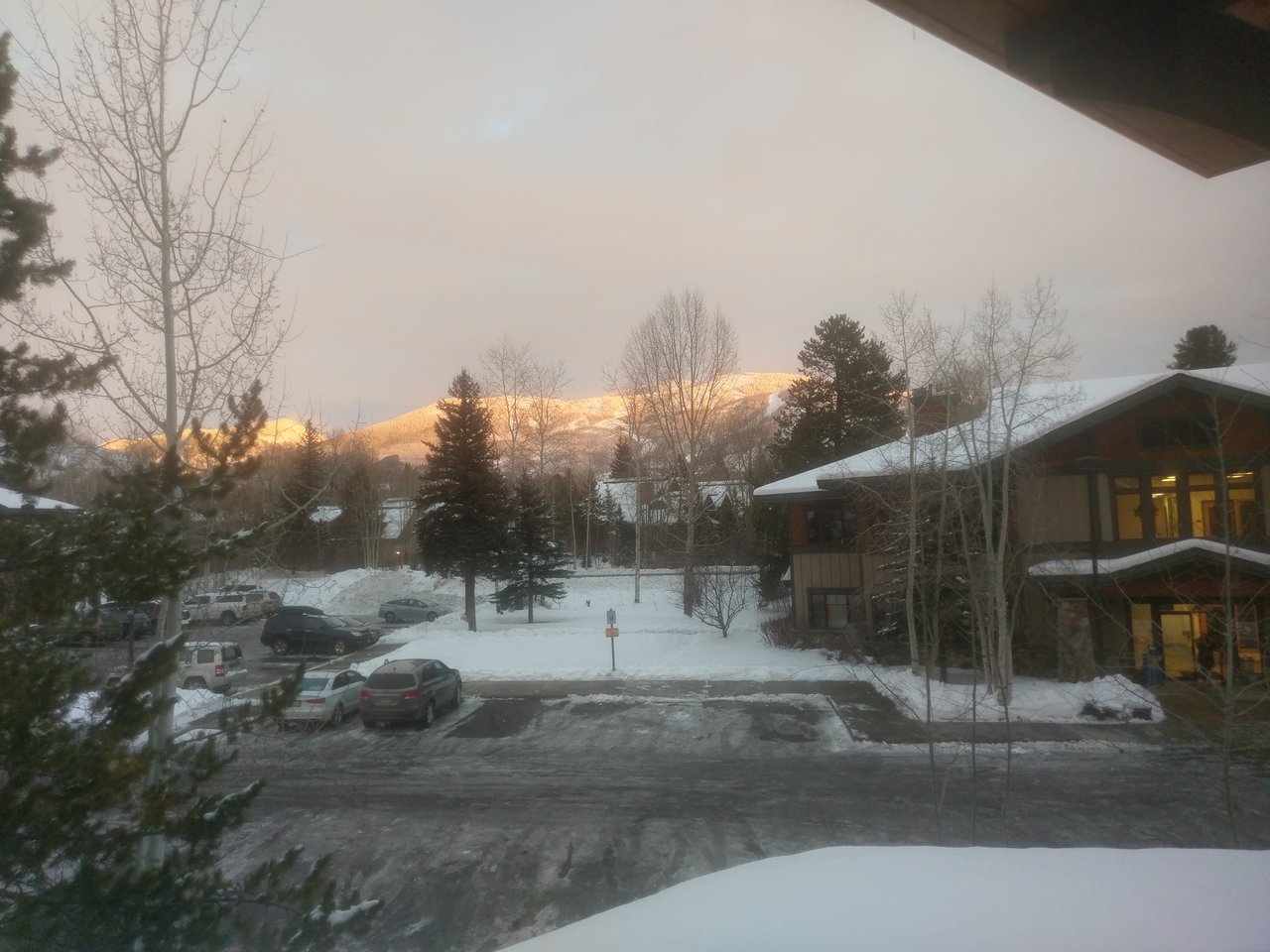 IMAG0438.jpg