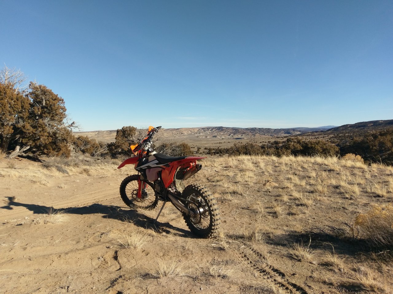 IMAG0444.jpg