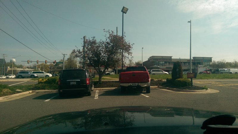 IMAG0445.jpg