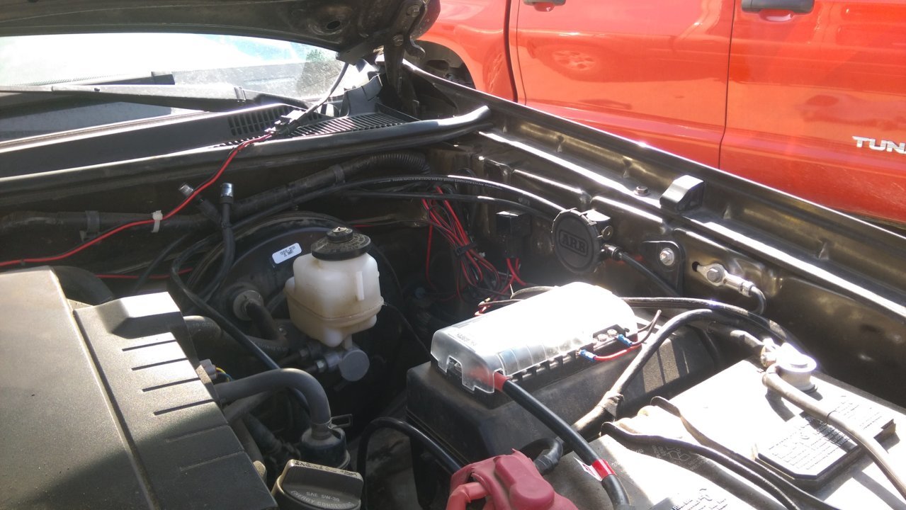 IMAG0445.jpg
