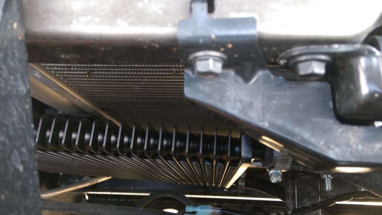 IMAG0446.jpg