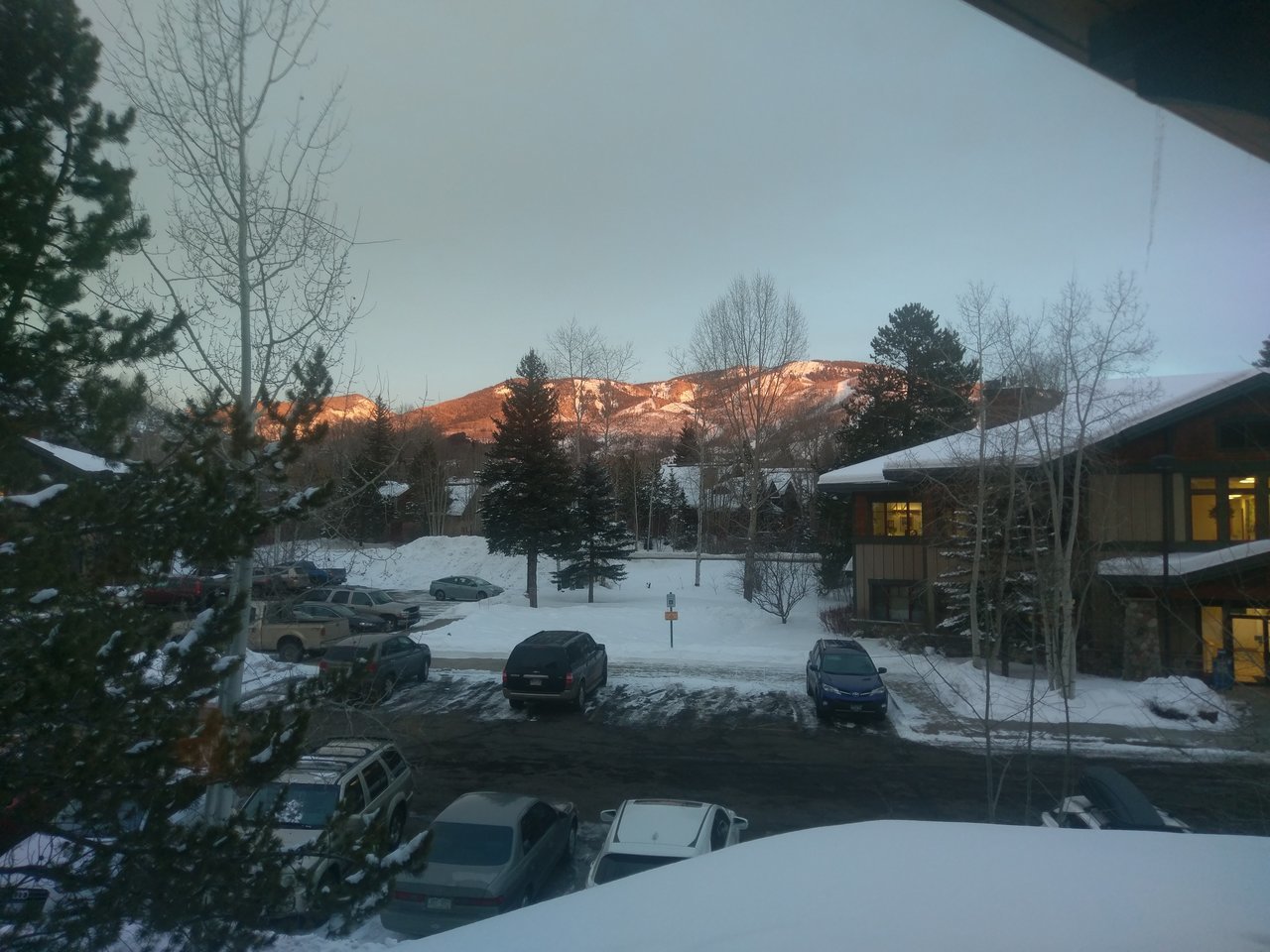 IMAG0448.jpg