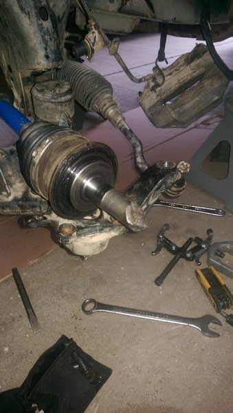 IMAG0465.jpg