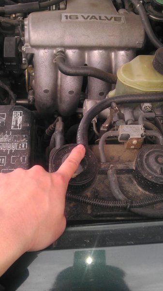 IMAG0468.jpg