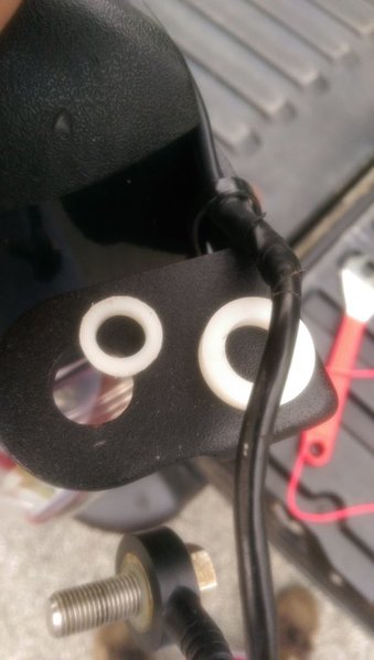 IMAG0484.jpg