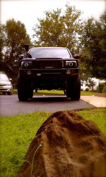 IMAG0487.jpg