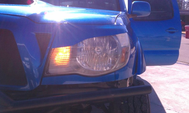 IMAG0491.jpg
