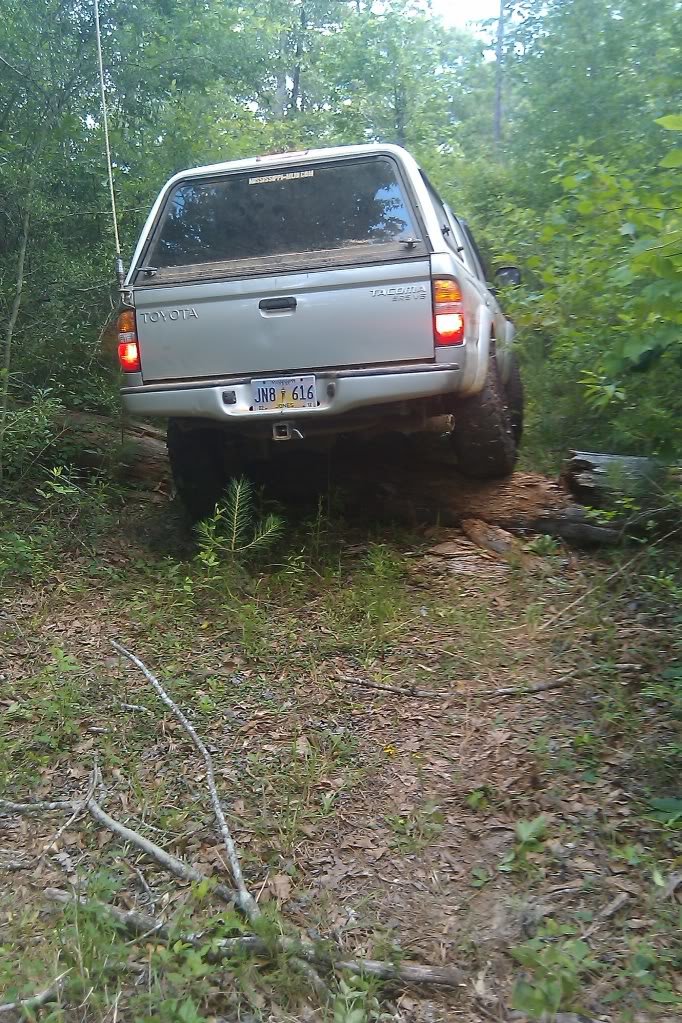 IMAG0491_02bcf003db956b8cb83d9fe822030a5c51fc5927.jpg