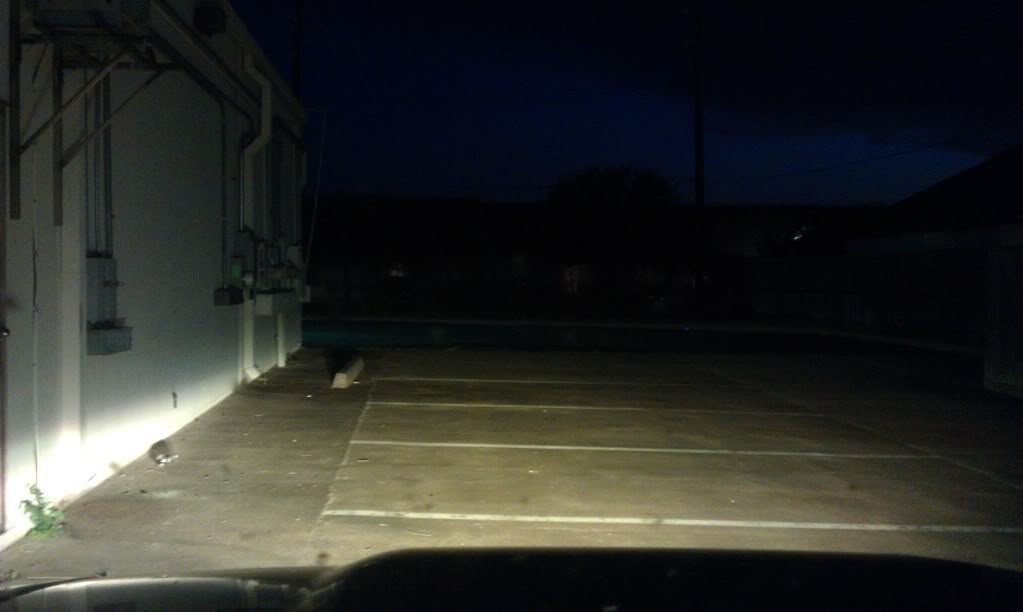 IMAG0492_303cbde8aba978a76c7e8e578642a15dcce32404.jpg