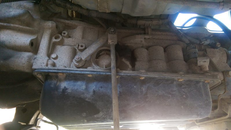IMAG0493.jpg