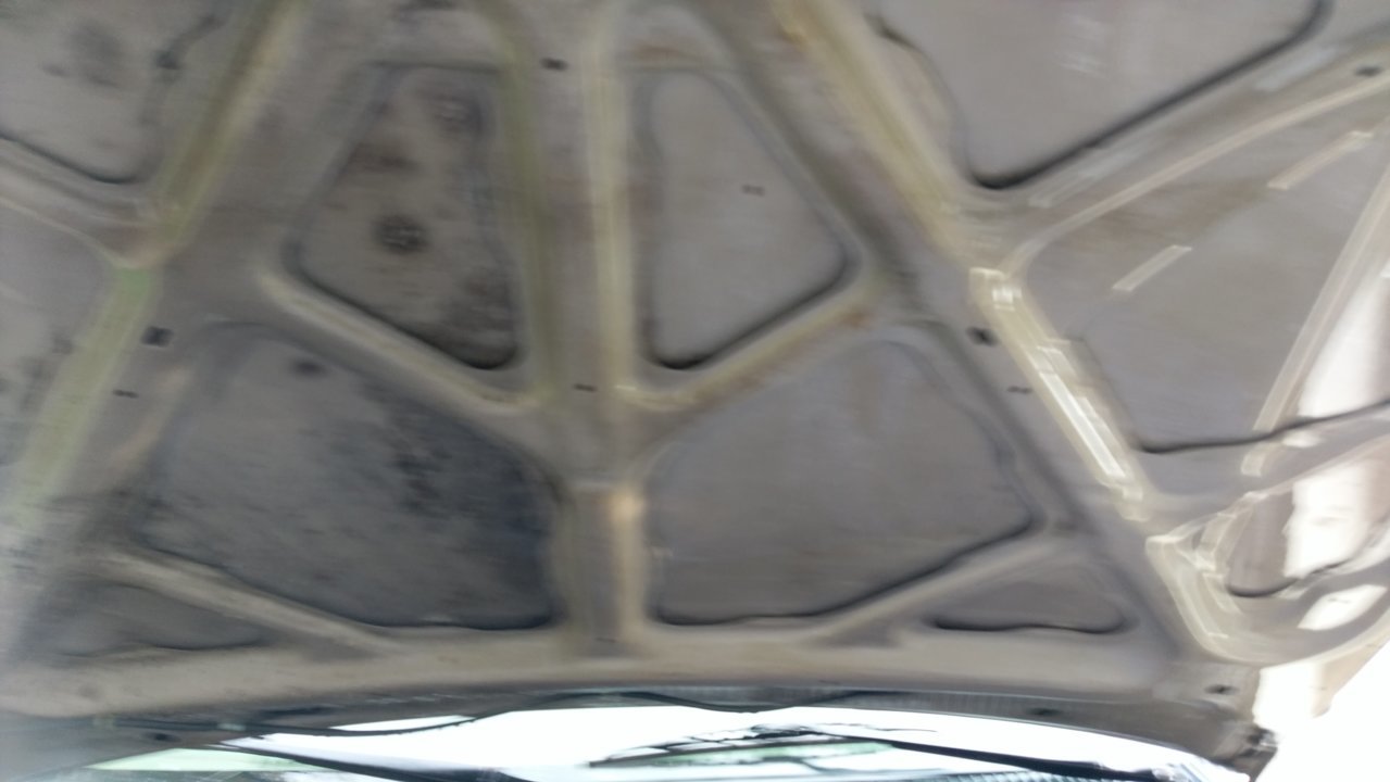IMAG0494.jpg