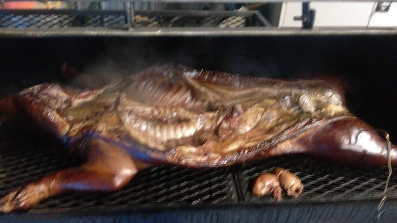IMAG0495.jpg