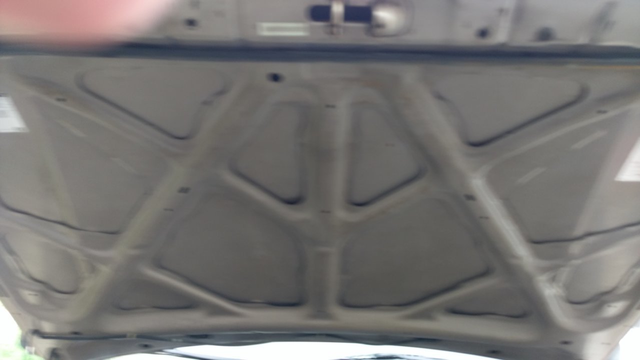 IMAG0498.jpg