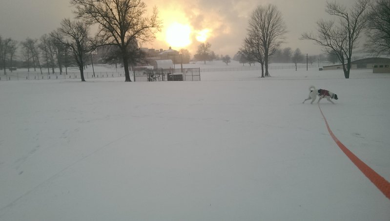 IMAG0502.jpg