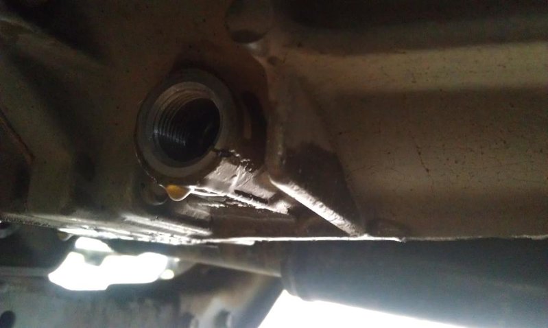 IMAG0515.jpg