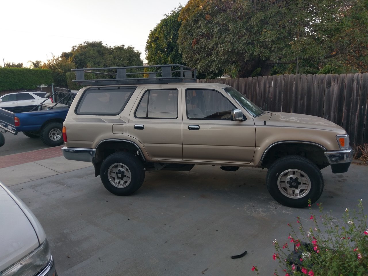 IMAG0518.jpg