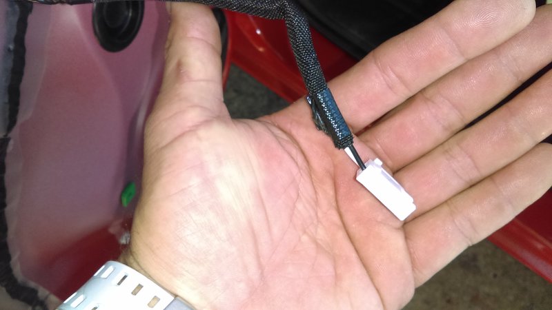 IMAG0519.jpg