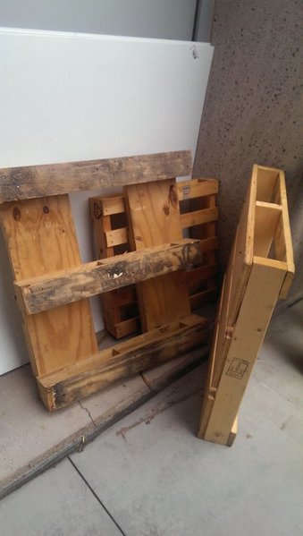 IMAG0521.jpg