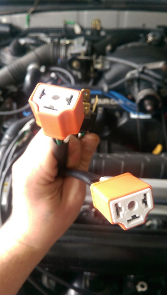 IMAG0525.jpg