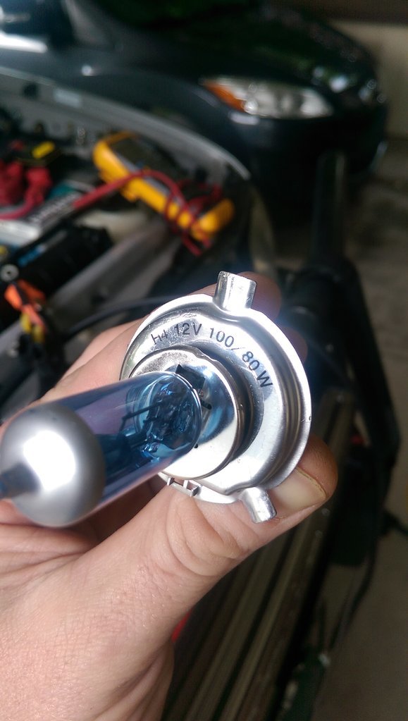 IMAG0527.jpg
