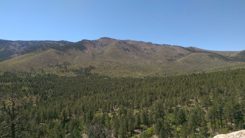 IMAG0543.jpg