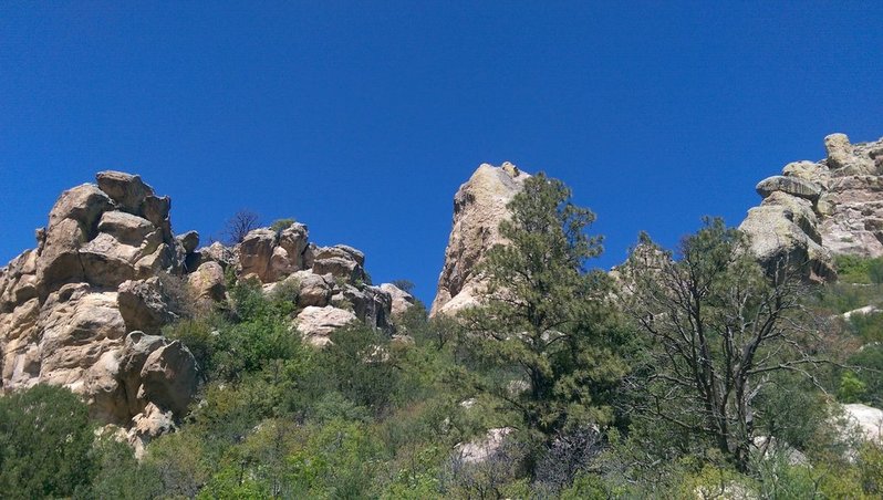 IMAG0548.jpg