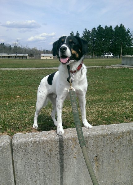 IMAG0575_1.jpg
