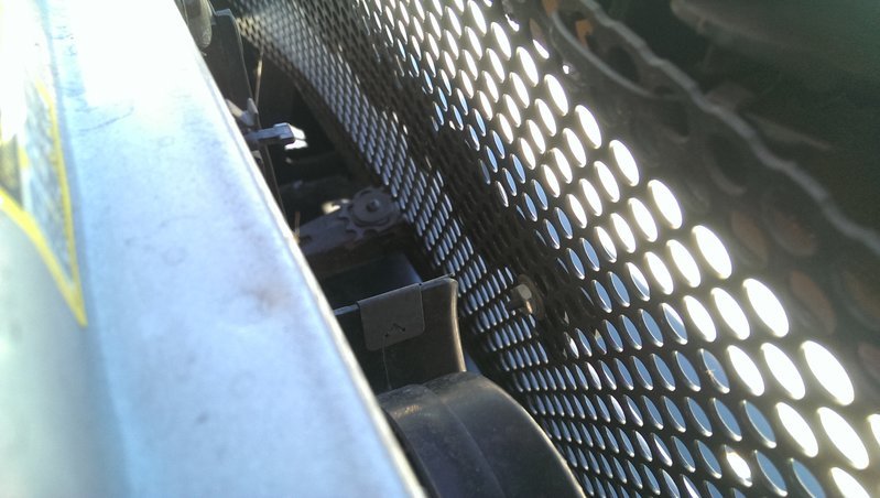 IMAG0590.jpg