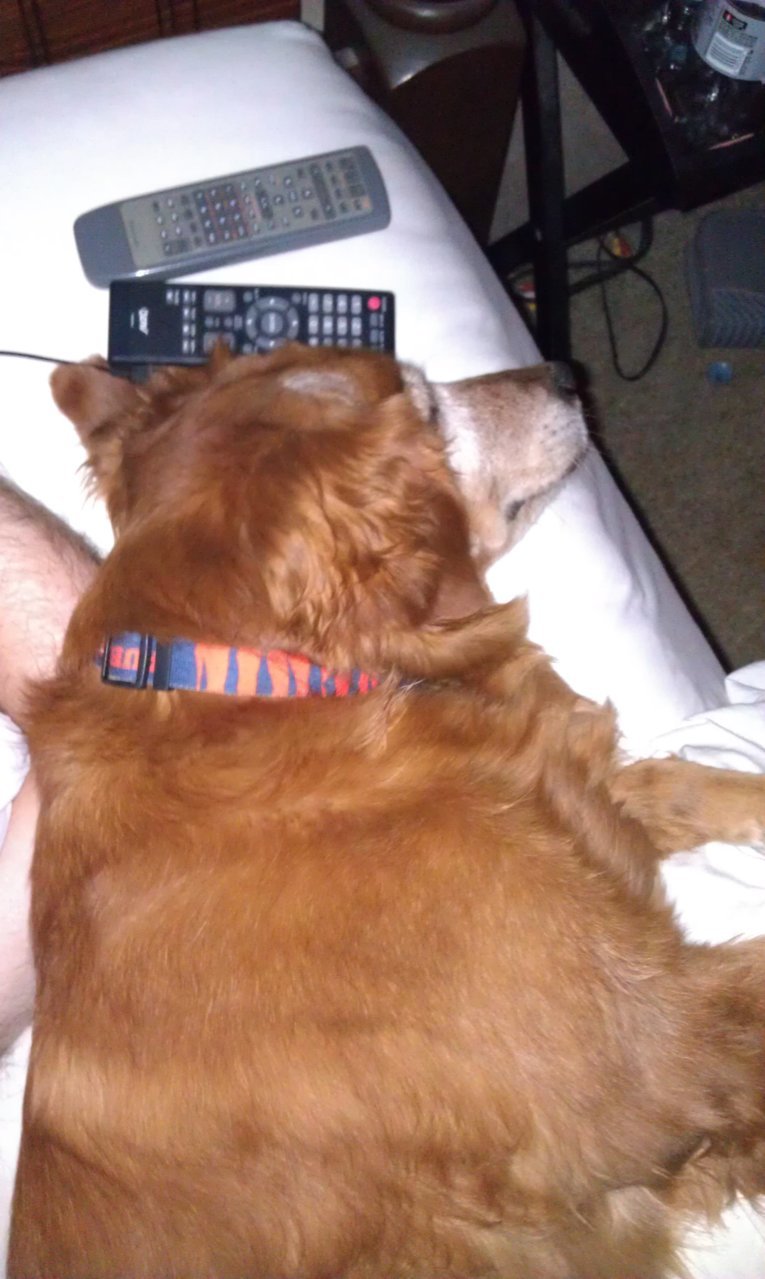 IMAG0596.jpg