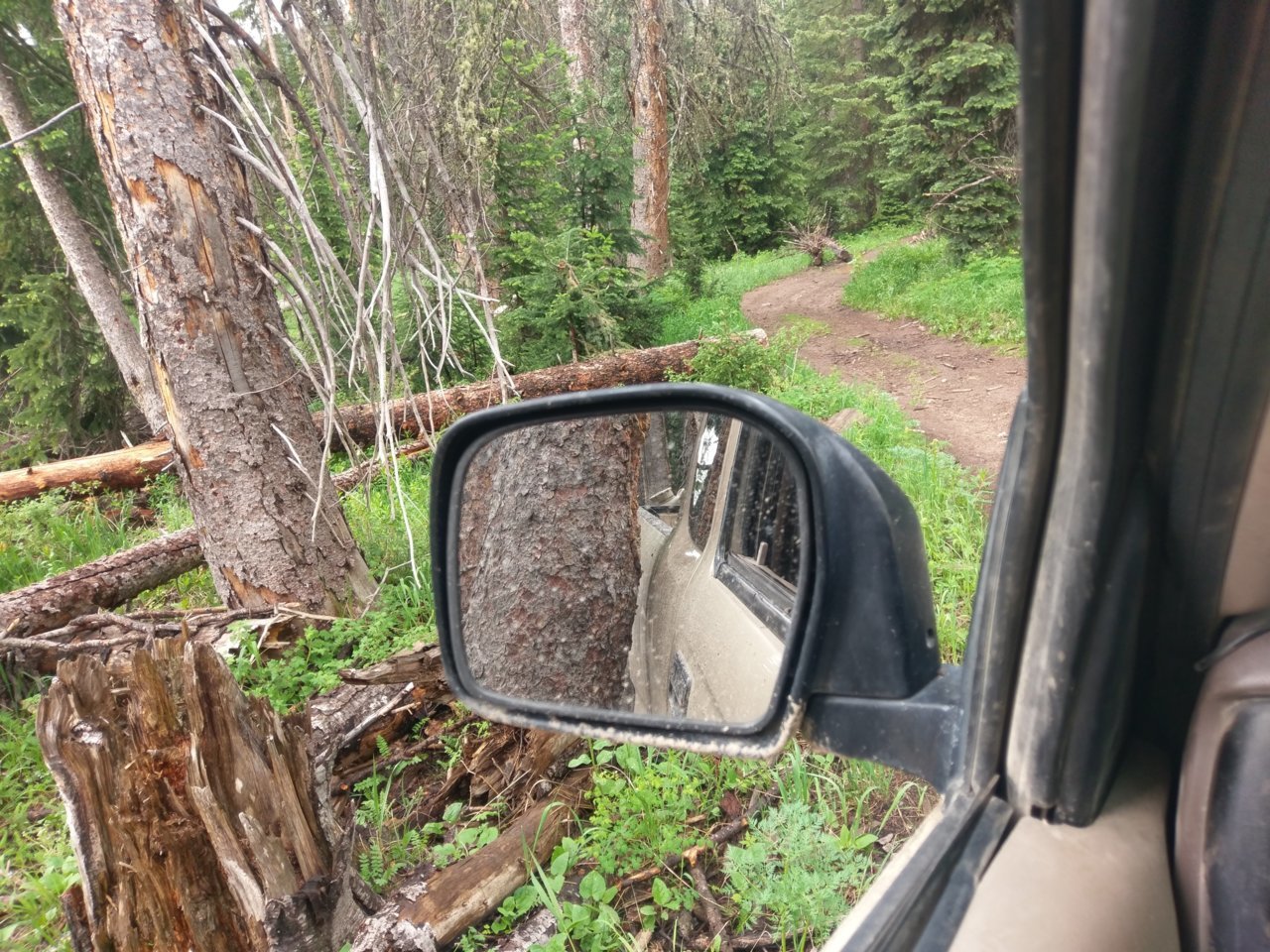 IMAG0615.jpg