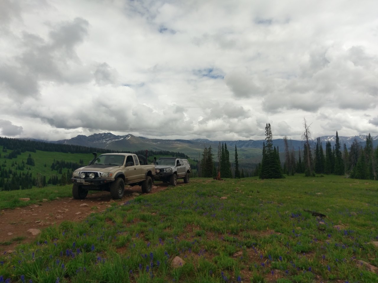 IMAG0616.jpg