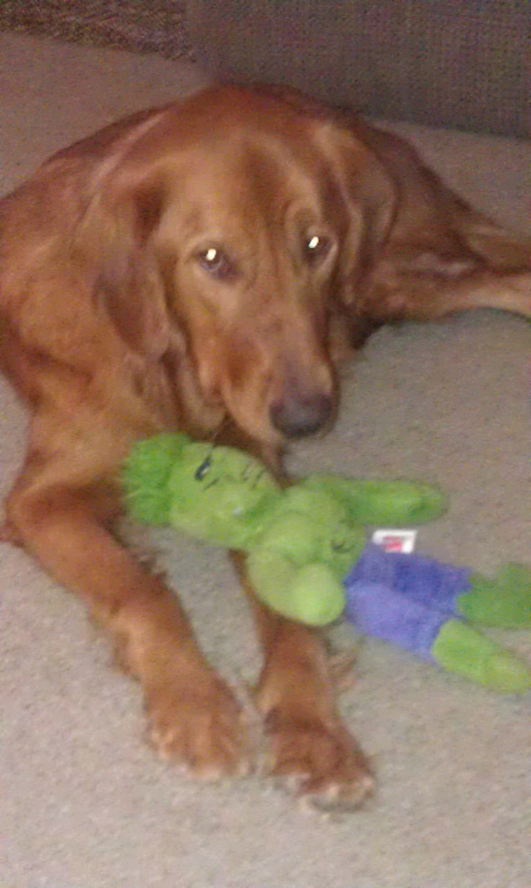 IMAG0620.jpg