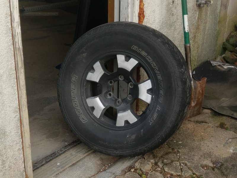 IMAG0630.jpg